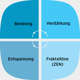 Zen-Therapie Tinnitus Widex grey-1